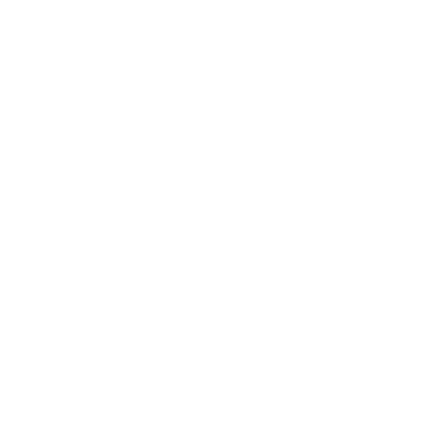 Algerian Olympiad in Informatics Logo